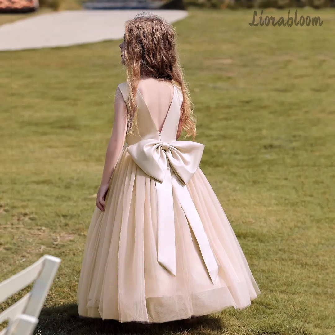 فستان أميرة متعدد الألوان بدون - مراجعة Women Formal Wear For Party وسعره